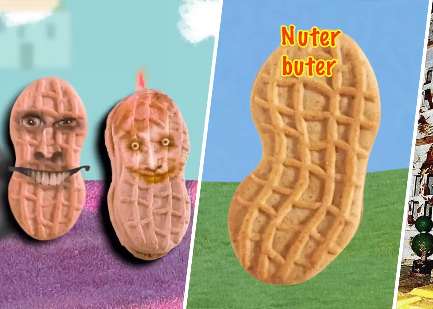 scenes from Nutter Butter's Tik Tok account